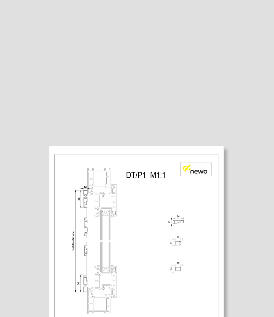 DTP1